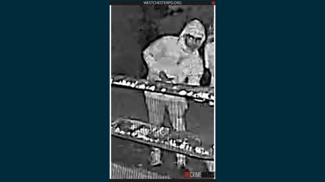 Surveillance video of a man wearing a silver or gray hooded jacket 