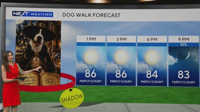 Some showers possible Wednesday afternoon before higher storm chance return later this week