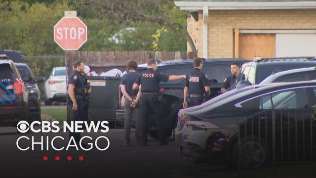 Palatine teen arrested for alleged mass shooting plot