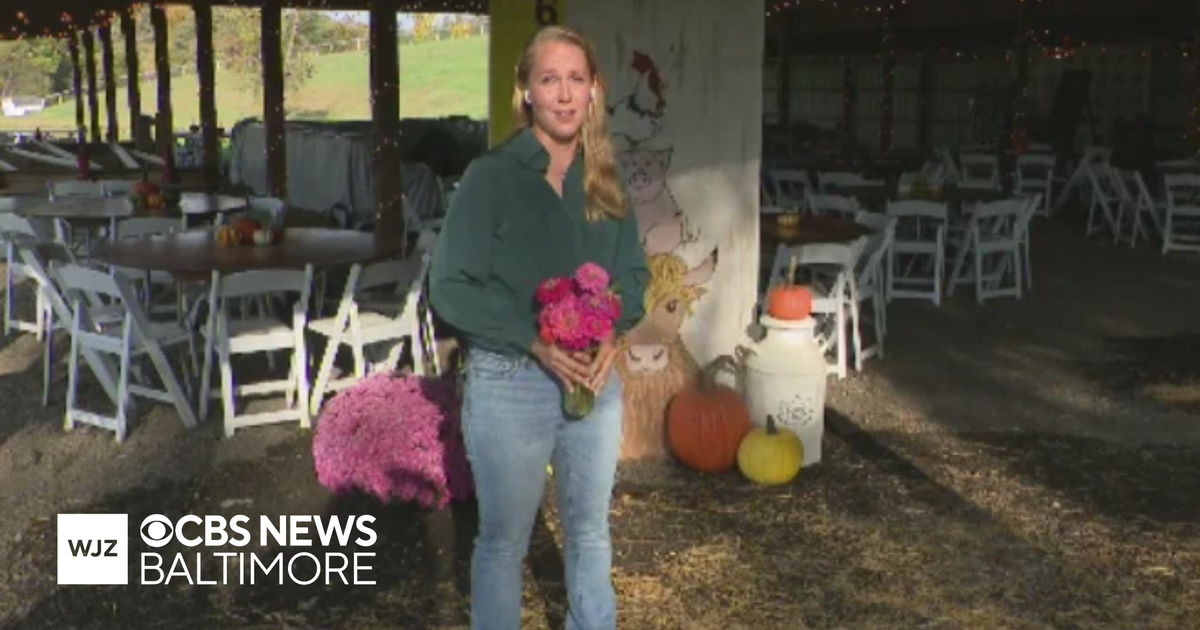 Maple Border Farm in White Hall is the perfect local farm to enjoy ...