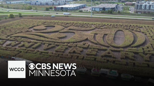 Celebrate fall at the Twin Cities Harvest Festival and Maze