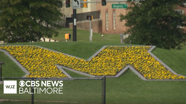 Howard University club tennis team demands accountability over UMD's racist graphic