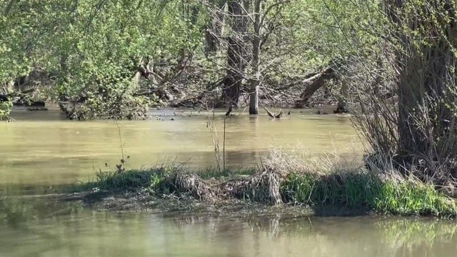 Michigan bets hundreds of millions on river restoration payoff