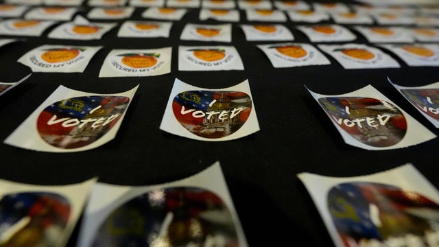 Georgia Early Voting 