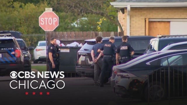 Raja Krishnamoorthi says Palatine mass shooting plot suspect targeted his temple