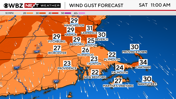 Wind gust forecast