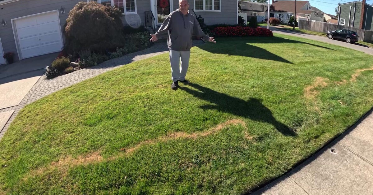 Long Island homeowner says serial vandal is trying to kill his lawn