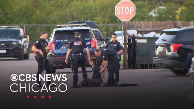 Palatine teen charged in alleged mass shooting plot worked alone, police say in update