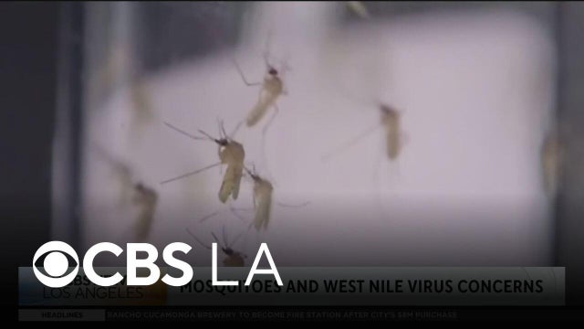 Mosquitoes and West Nile virus in Southern California