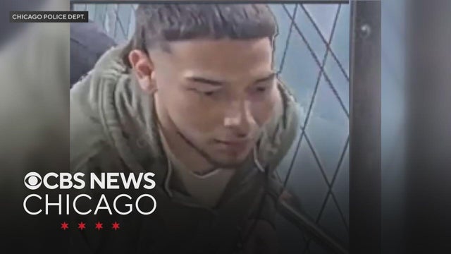 Chicago police search for suspects in brutal attack on CTA Red Line
