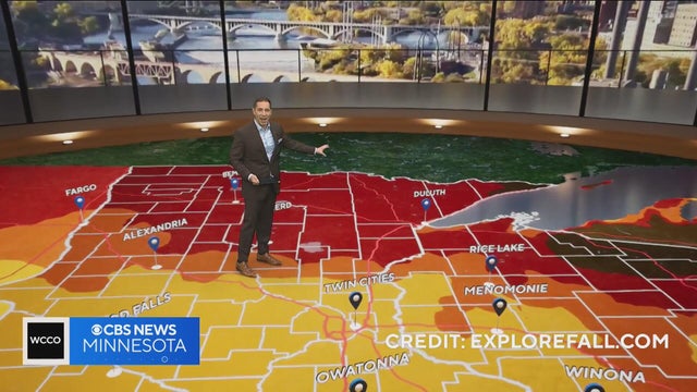 Peak fall color is here in Minnesota, but Friday&rsquo;s wind has stripped many leaves | Oct. 16, 2026