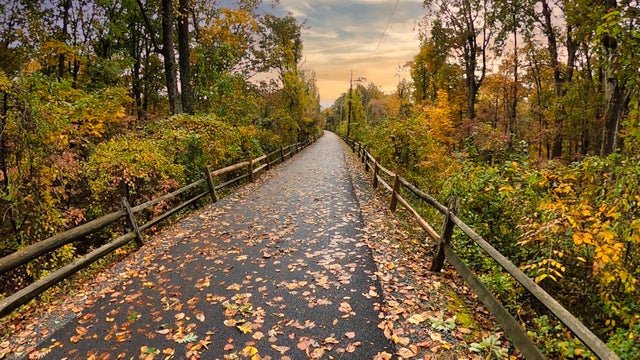 Autumn on the trail 
