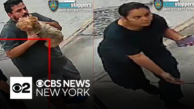 NYPD looking for suspects who allegedly stole dog from front lawn in Queens