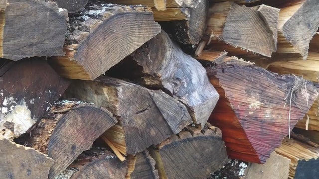 Michigan to begin firewood quarantine on Jan. 1.
