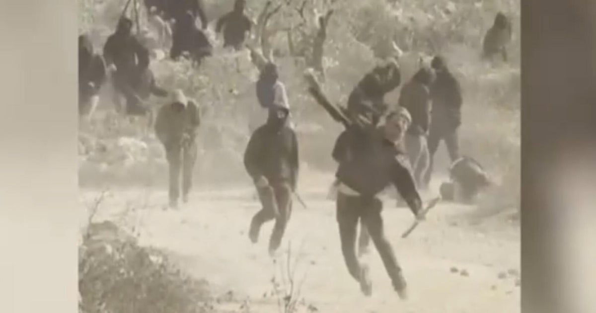 Israeli settlers attack American journalist and Palestinians during olive harvest in West Bank