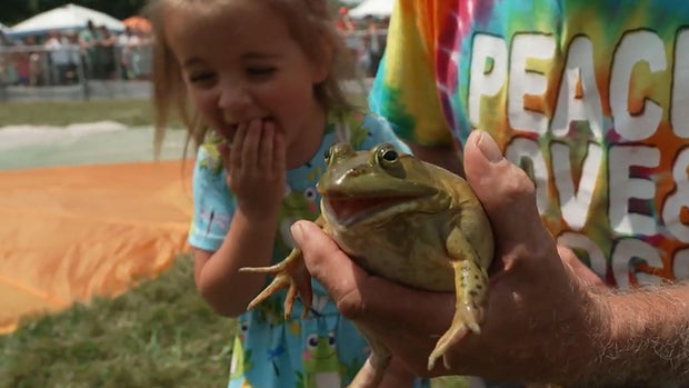 frog-jump-a-1920.jpg