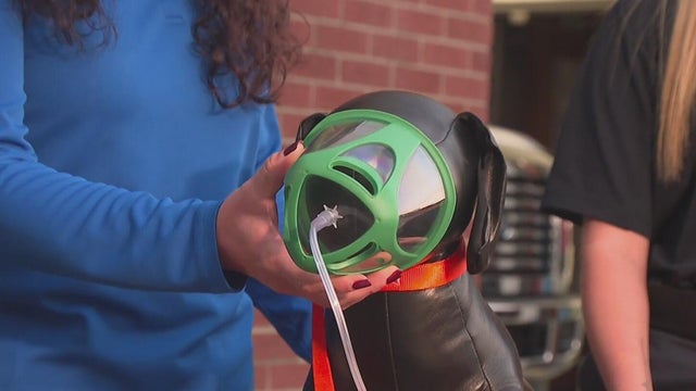 Pet oxygen masks donated to firefighters after recent fire