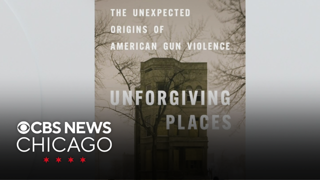 &ldquo;Unforgiving Places: The Unexpected Origins of American Gun Violence&rdquo;