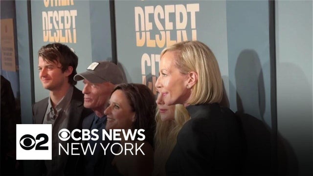Julia Louis-Dreyfus, Joe Keery make Broadway debuts in "Other Desert Cities"