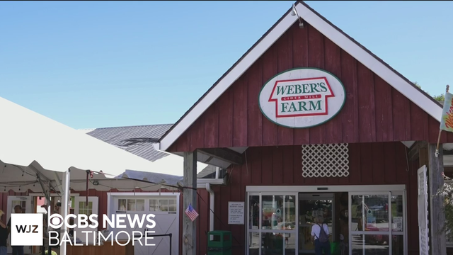 Weber's Cider Mill Farm shows CBS News Baltimore how they make their Apple Cider