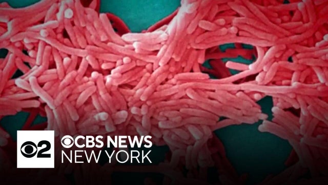 New York City Council considers new legionella reporting requirements