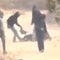 10 arrested after violent Israeli settler attack in West Bank where journalist was beaten