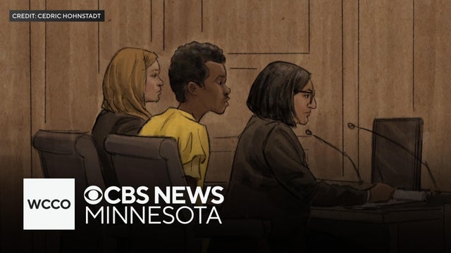 Feds lay out case against teen accused of planning attack at Mall of America