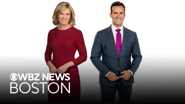 WBZ anchors Lisa Hughes, David Wade to be inducted into New England Emmy's Silver Circle