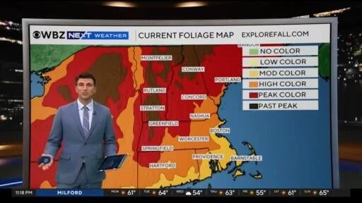 Next Weather: WBZ Update