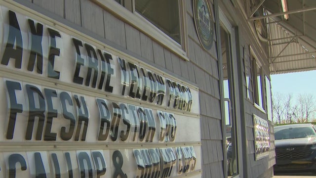 Toledo chemial leak impacts Michigan schools, businesses