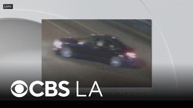 South Los Angeles hit-and-run driver arrested for killing 83-year-old community icon