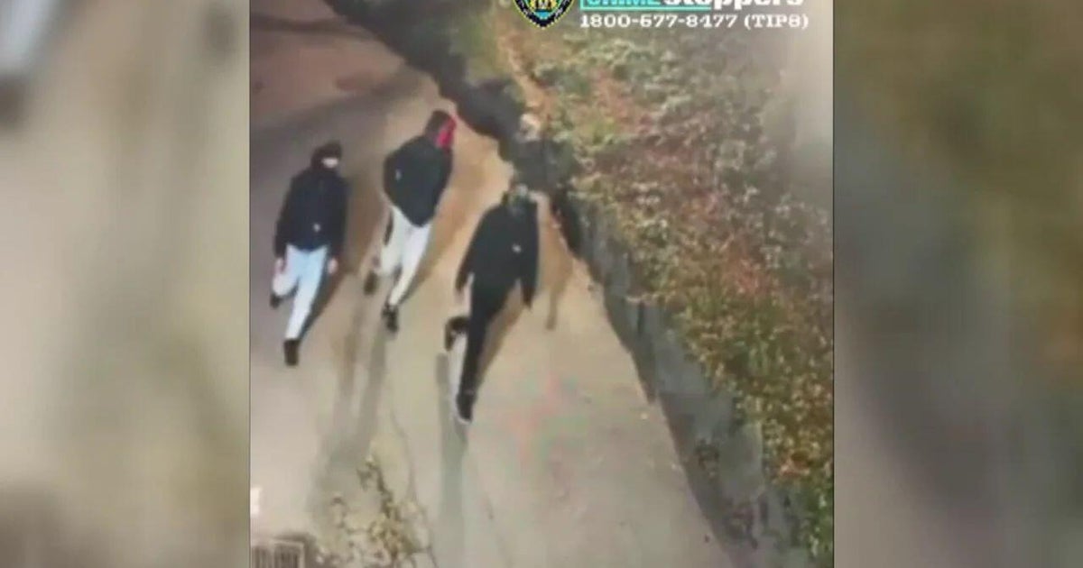 Woman recounts brutal attack by 3 men in Central Park: 