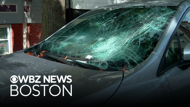 Police investigate after windows smashed in South Boston