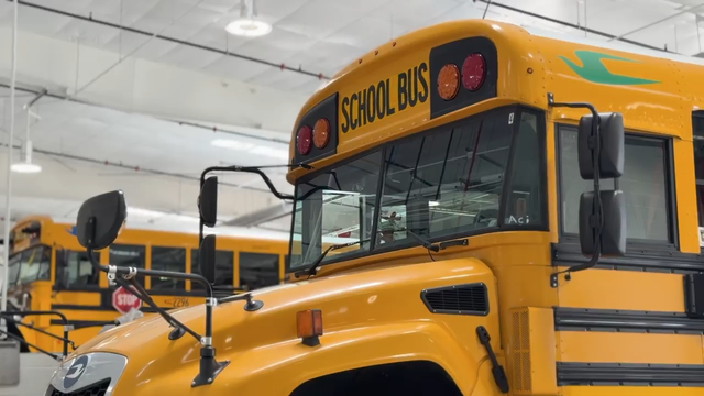 diesel-buses.png 