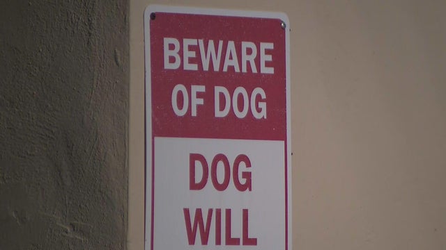 Dog on the loose after attacking a child in northwest Miami-Dade, deputies said