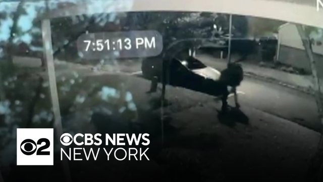 Video captures burglars stealing $100K safe from NJ home