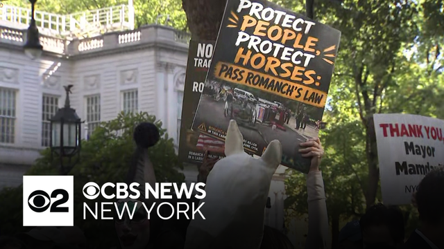 Horse-drawn carriage ban passes NYC Council vote. What comes next?