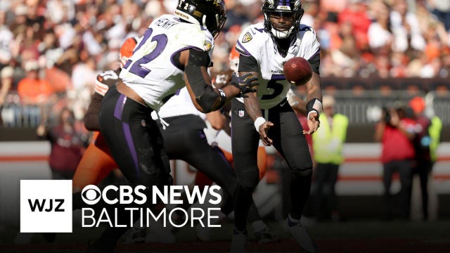 Will Lamar Jackson return for the Ravens' battle with the Bengals? | Purple Playbook