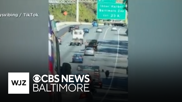 New video shows cow roaming on Maryland's I-695