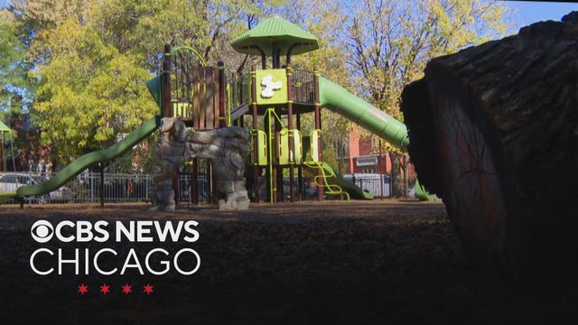 How Chicago alders decide how to spend their $1.5M ward budget