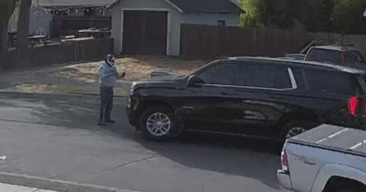 Woodland police dispute DHS account of ICE agents collision with pedestrian
