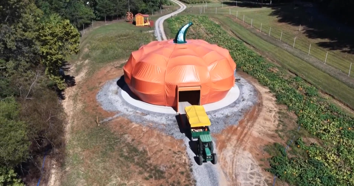 Georgia pumpkin farm goes big with new 45-foot drive-through attraction