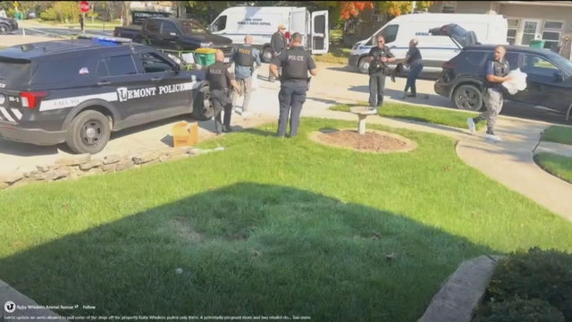 Generic police lights and yellow police tape at crime scene 