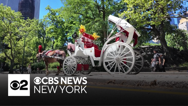NYC Council approves bill to ban horse carriage industry