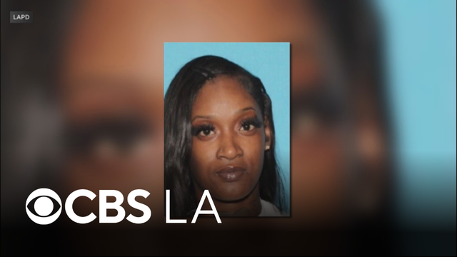 South LA hit-and-run suspect allegedly tied to series of robberies