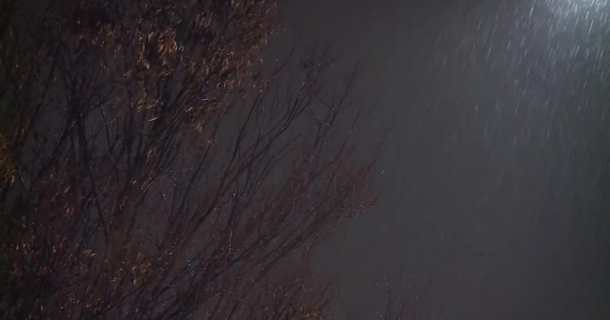 Cal Fire says wildfire risk remains despite recent rainfall in foothills