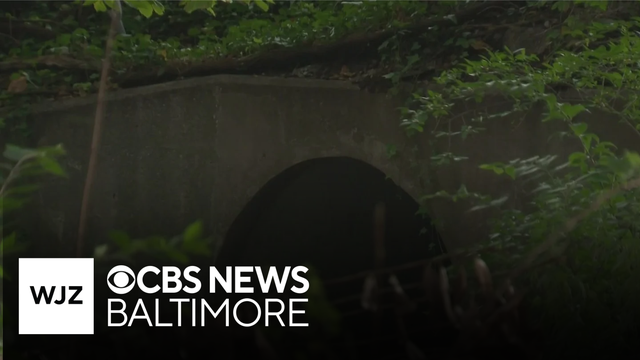 Baltimore County mother concerned for her children after a man living in nearby sewer allegedly hara