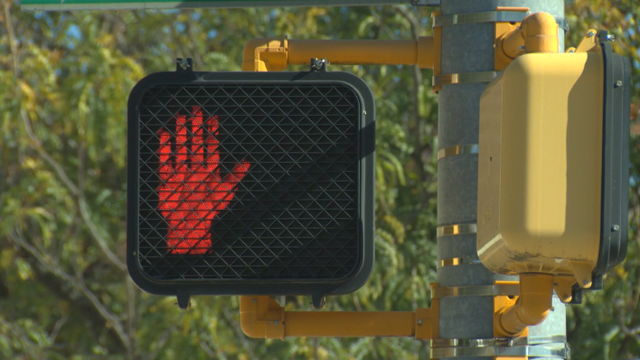stop-light.png 