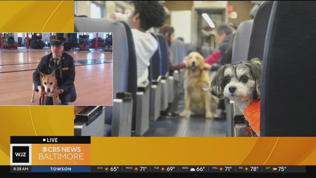 National Railroad Museum invites dogs aboard for its annual 'Tails on the Rails'