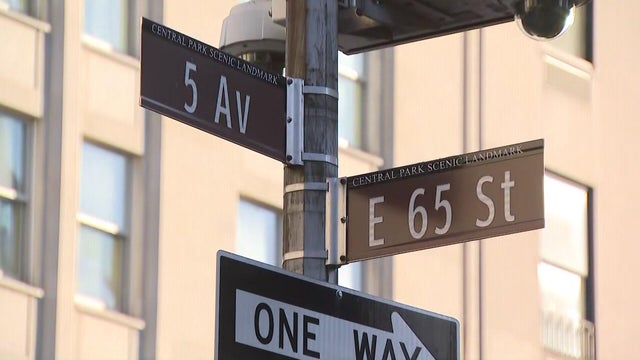 US-NEWS-NYPD-CAR-STOPS-NY 